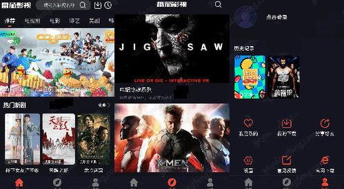 影视剧免费观看软件,一网打尽，畅享视听盛宴
